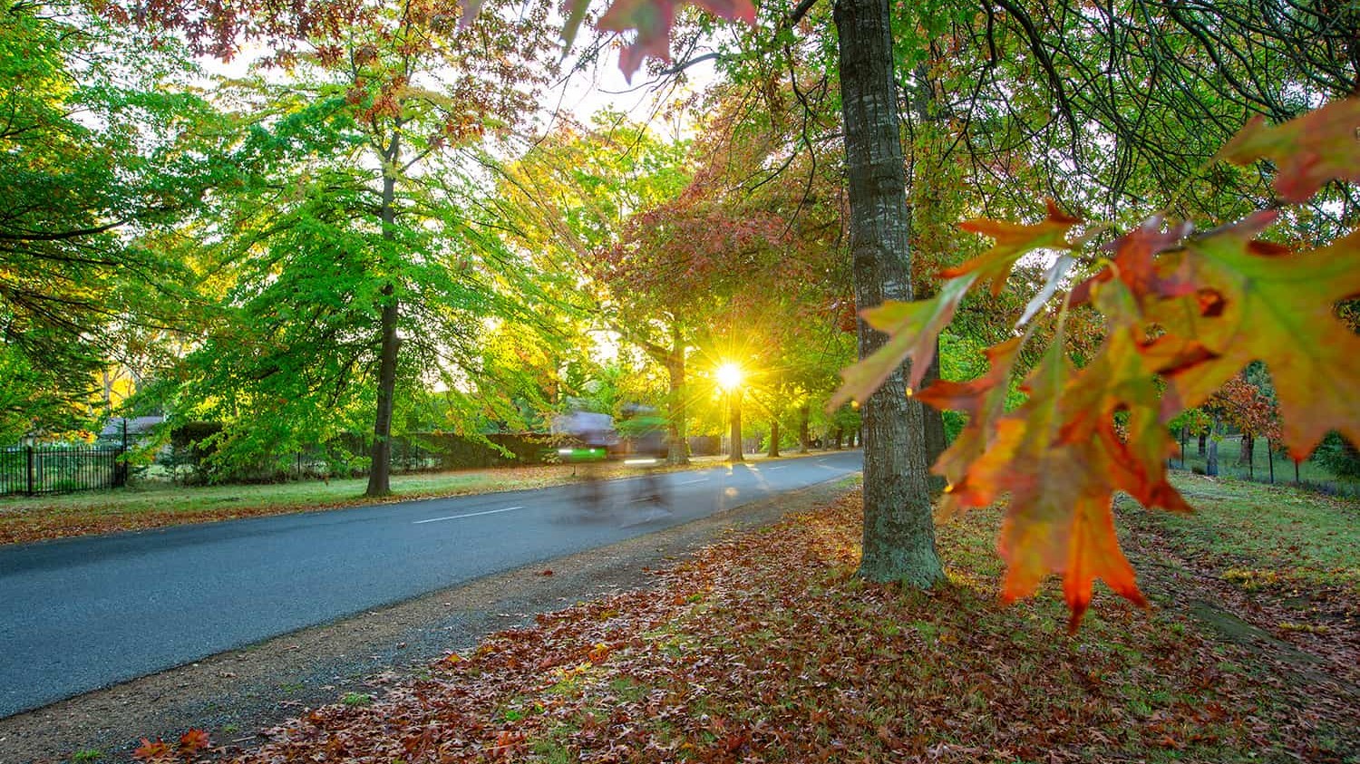 Macedon in Autumn